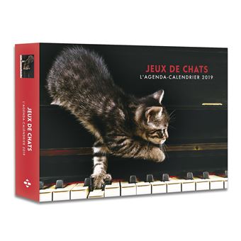 L Agenda Calendrier 19 Jeux De Chats Relie Collectif Achat Livre Fnac