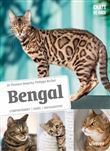 Bengal - Comportement, soins, sociabilisation