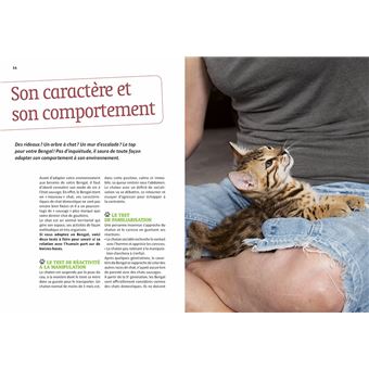 Bengal Comportement Soins Sociabilisation Broche Florence Desachy Philippe Rocher Achat Livre Fnac