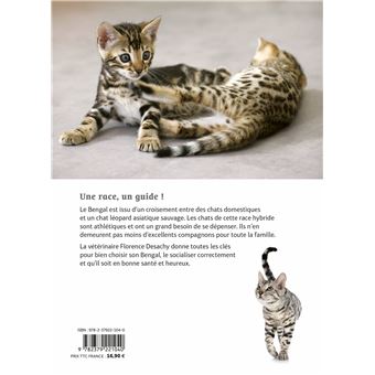 Bengal - Comportement, soins, sociabilisation