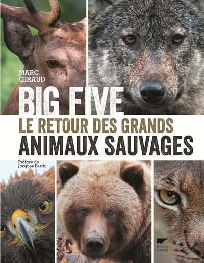 Big Five - Les grands animaux sauvages sont de retour