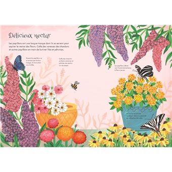 Les papillons - Mes petits autocollants Usborne