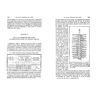 Histoire de l'alimentation végétale - depuis la préhistoire jusqu'à nos jours