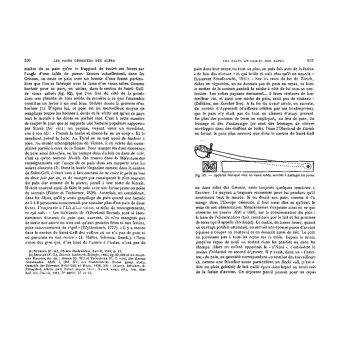 Histoire de l'alimentation végétale - depuis la préhistoire jusqu'à nos jours
