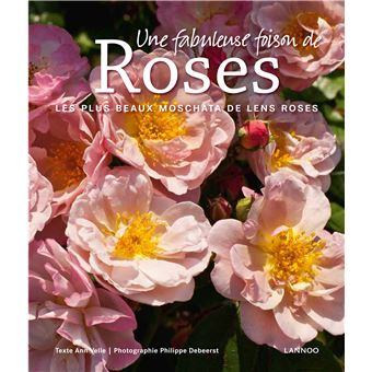 Une fabuleuse foison de roses