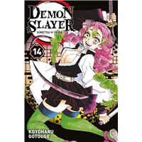 Demon Slayer Tome 15 Demon Slayer Koyoharu Gotouge Koyoharu Gotouge Broche Achat Livre Ou Ebook Fnac