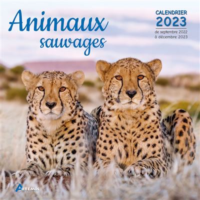 Calendrier Lunaire Sortie Animaux 2023 Calendrier Animaux Sauvages 2023 - Dernier Livre De Collectif - Précommande  & Date De Sortie | Fnac