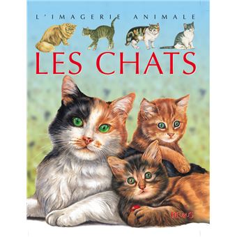 Le chat • Documentaire dès 4 ans