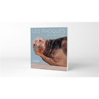 Les phoques de la Côte d'Opale