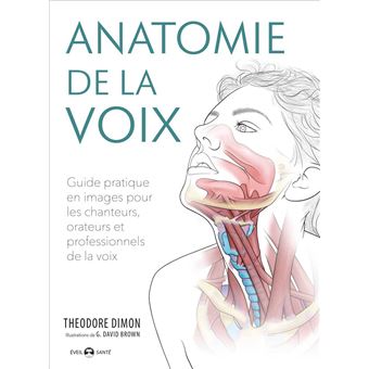 Anatomie de la voix