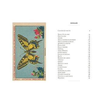 Petit Livre des insectes et papillons