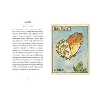 Petit Livre des insectes et papillons