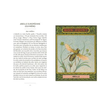 Petit Livre des insectes et papillons