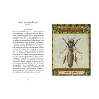 Petit Livre des insectes et papillons