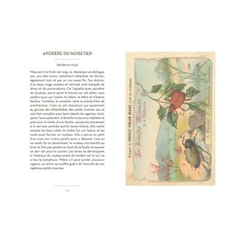 Petit Livre des insectes et papillons