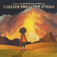 Shelter From The Storm