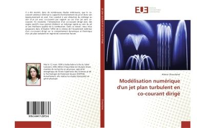 Modélisation numérique d'un jet plan turbulent en co-courant dirigé