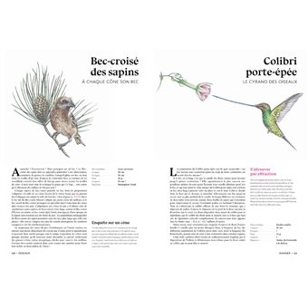 L'art d'être un oiseau