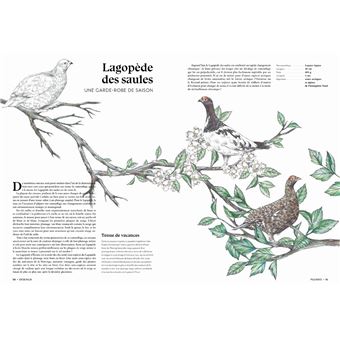 L'art d'être un oiseau