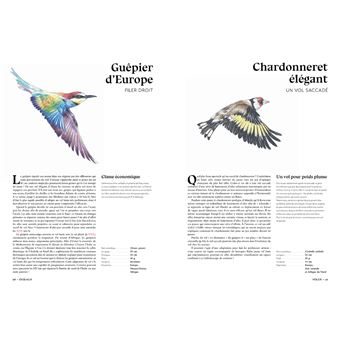 L'art d'être un oiseau