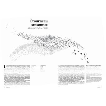 L'art d'être un oiseau