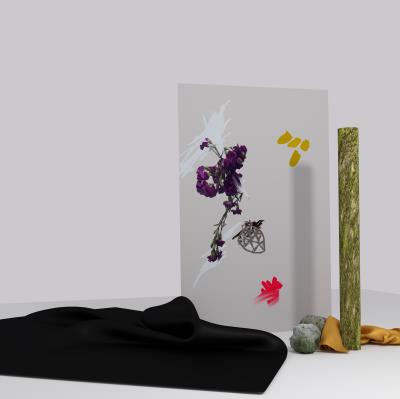 HEBA/2LP