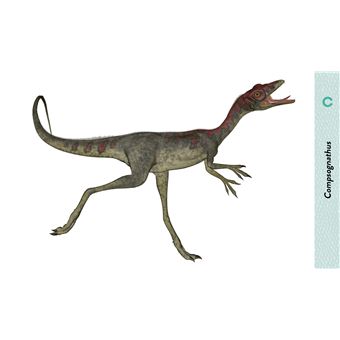 Les dinosaures de A à Z