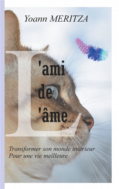 L'ami de l'âme - Yoann Meritza - broché
