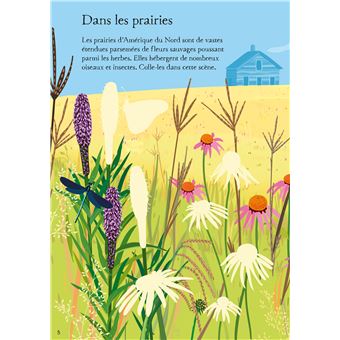 Les fleurs sauvages - Mes petits autocollants Usborne