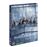 Succession Saison 4 DVD