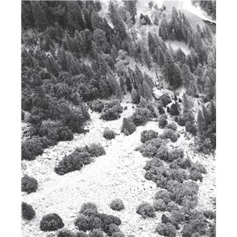 Yvon Chouinard, à l'avant-garde