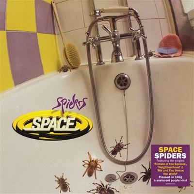 Spiders Vinyle Violet