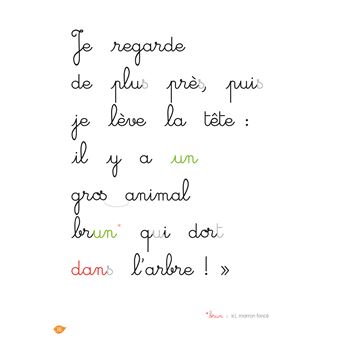 La jungle (son UN), niveau 2 - J'apprends à lire Montessori