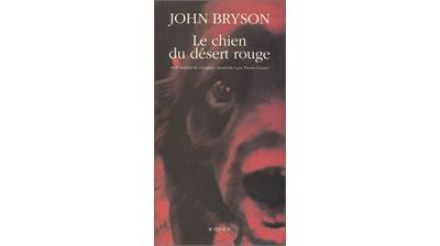 Le chien du désert rouge