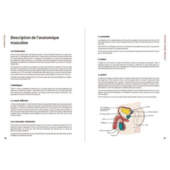 SOS contraception - Les clés pour comprendre son corps et bien choisir sa contraception