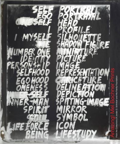 Amazing  ! Mel Bochner Prints