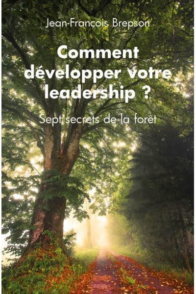 Comment développer votre leadership ?