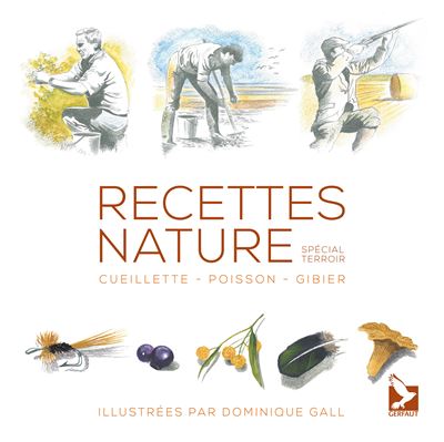 Recettes nature - Dominique Gall - broché