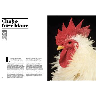 Poules de luxe