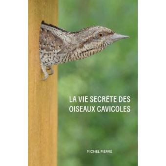 La vie secrète des oiseaux cavicoles