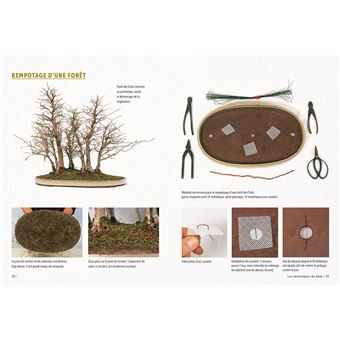 Bonsaï d'intérieur & d'extérieur - Comment les entretenir facilement