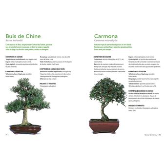 Bonsaï d'intérieur & d'extérieur - Comment les entretenir facilement