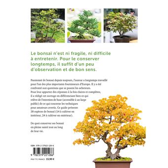 Bonsaï d'intérieur & d'extérieur - Comment les entretenir facilement