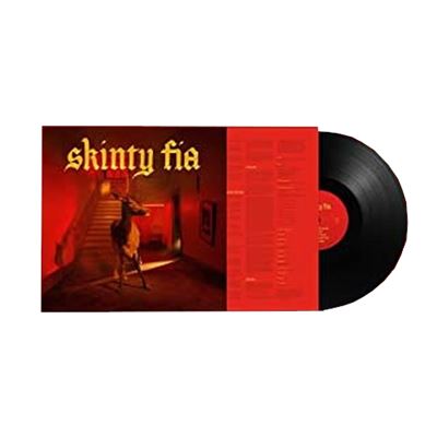 Skinty Fia