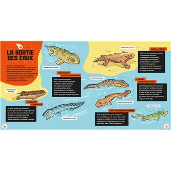 Dis pourquoi Les animaux disparus