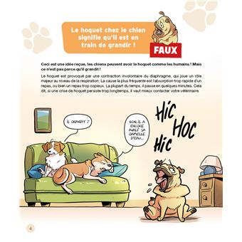 Le vrai/faux des chiens