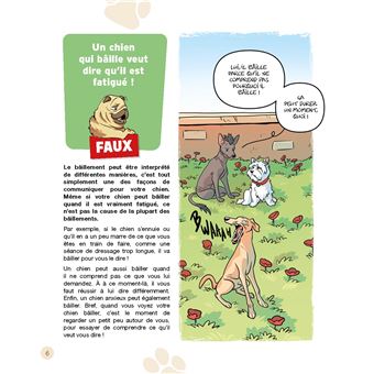Le vrai/faux des chiens