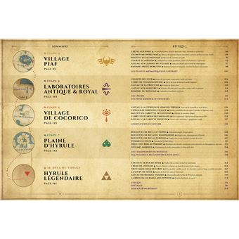 La cuisine dans Zelda - Les recettes inspirées d'une saga mythique -  Thibaud Villanova (EAN13 : 9782019465605)