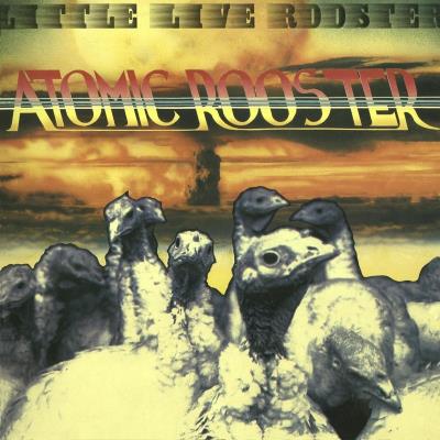 LITTLE LIVE ROOSTER