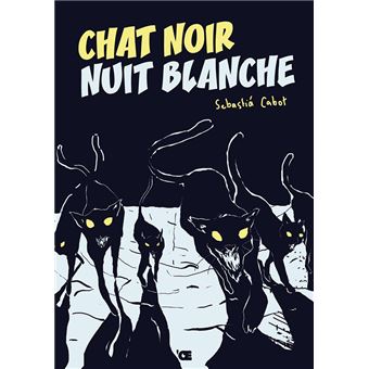 Chat noir Nuit blanche